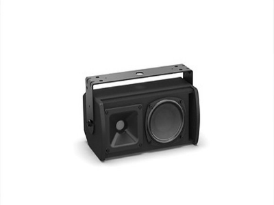 BOSE AMU108 多用途揚聲器 餐吧音箱