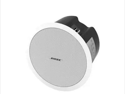 BOSE FreeSpace DS100F 吸頂揚聲器  背景音樂音箱