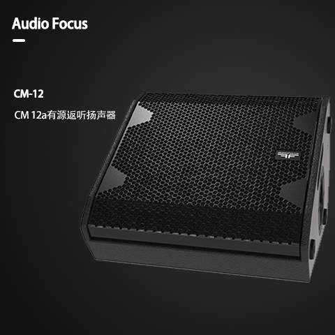 ARES CM-12 大中型會議室音響套裝 舞蹈培訓室學校專用音響系統設備全套