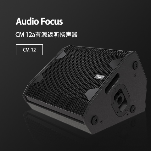ARES CM-12 大中型會議室音響套裝 舞蹈培訓室學校專用音響系統設備全套